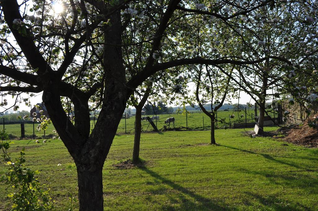 B&B La Garde Des Ablais Stambruges Esterno foto